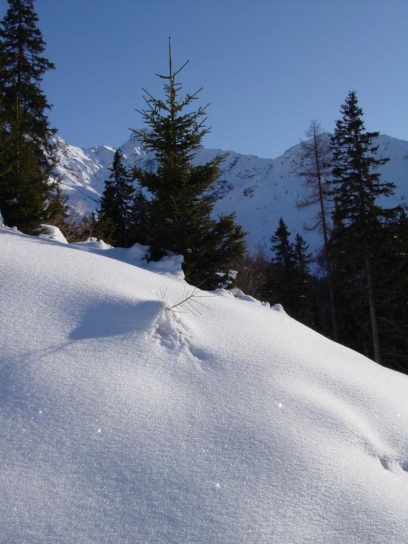 Gaestehaus Walch Fendels Buitenkant foto