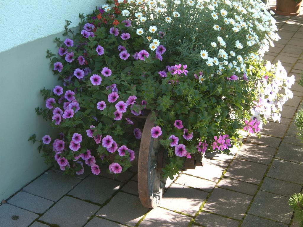 Gaestehaus Walch Fendels Buitenkant foto